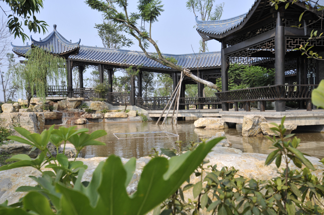 6t����(6TSPORTS)�����Źɷݹ�˾