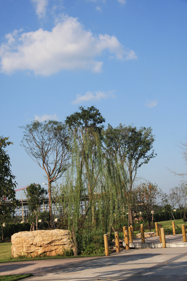 6t����(6TSPORTS)�����Źɷݹ�˾