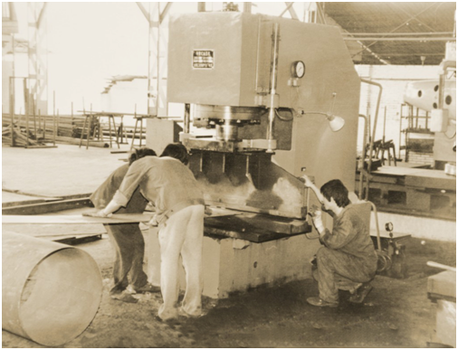 6t����(6TSPORTS)�����Źɷݹ�˾